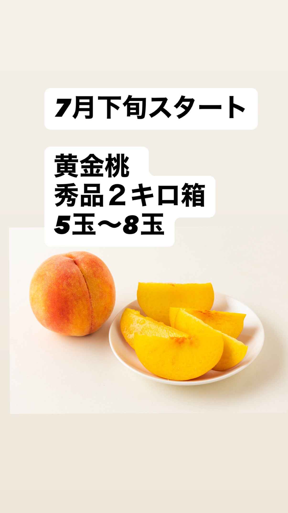 7月下旬から　黄金桃【秀品】2ｋｇ箱（5～9玉入り）