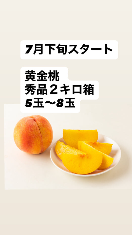 7月下旬から　黄金桃【秀品】2ｋｇ箱（5～9玉入り）
