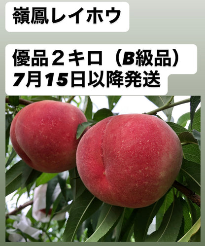 7月15日以降発送　嶺鳳レイホウ【優品】B級品　2ｋｇ箱（5〜9玉入り）