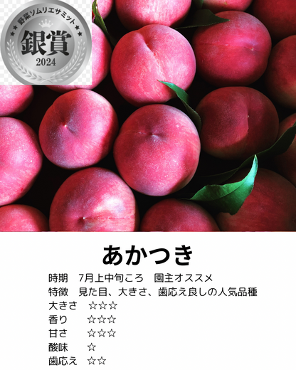 7月　あかつき【秀品】2ｋｇ箱（6～10玉入り）