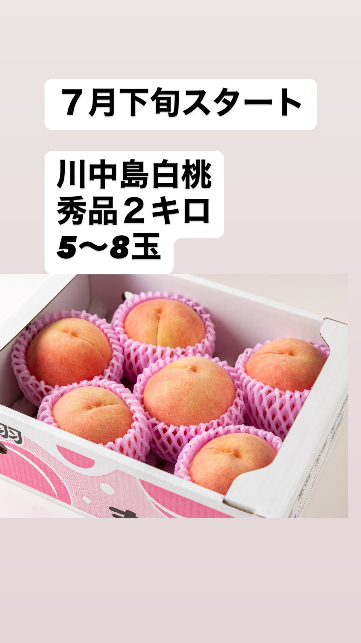 7月下旬から　川中島白桃【秀品】2ｋｇ箱（5～8玉入り）