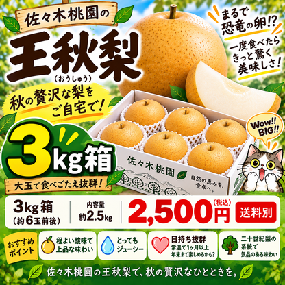 10月5日スタート　王秋おうしゅう　秀品3ｋｇ箱（6玉前後）(約2.5キロ）