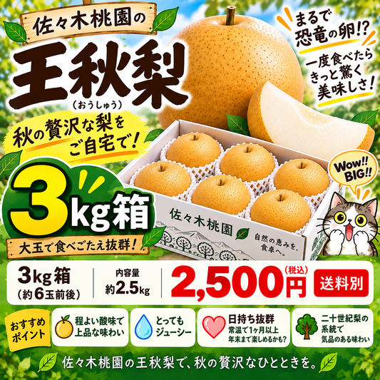 10月5日スタート　王秋おうしゅう　秀品3ｋｇ箱（6玉前後）(約2.5キロ）