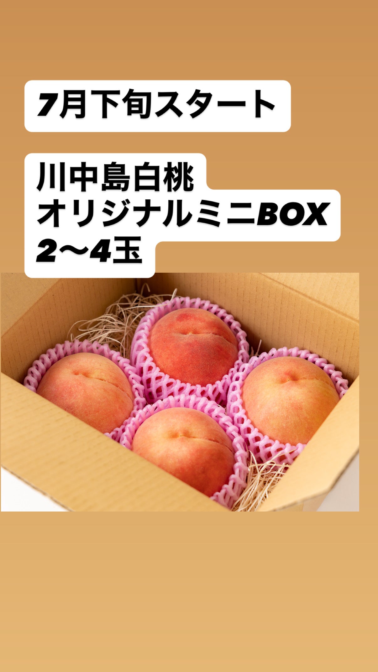 7月下旬から　川中島白桃　【秀品】オリジナルミニBOX（約1kg）（3玉前後）