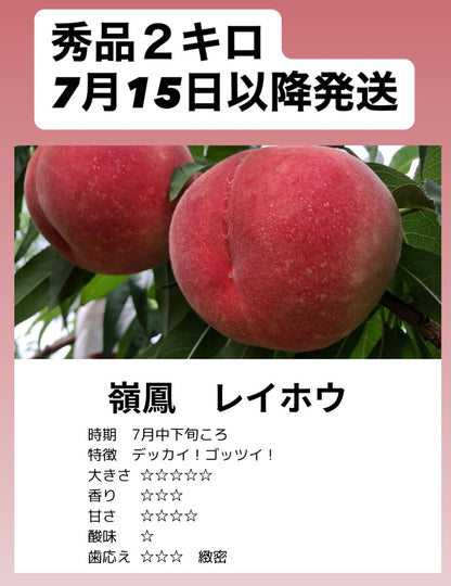7月15日以降発送　嶺鳳レイホウ【秀品】　2ｋｇ箱（5〜9玉入り）