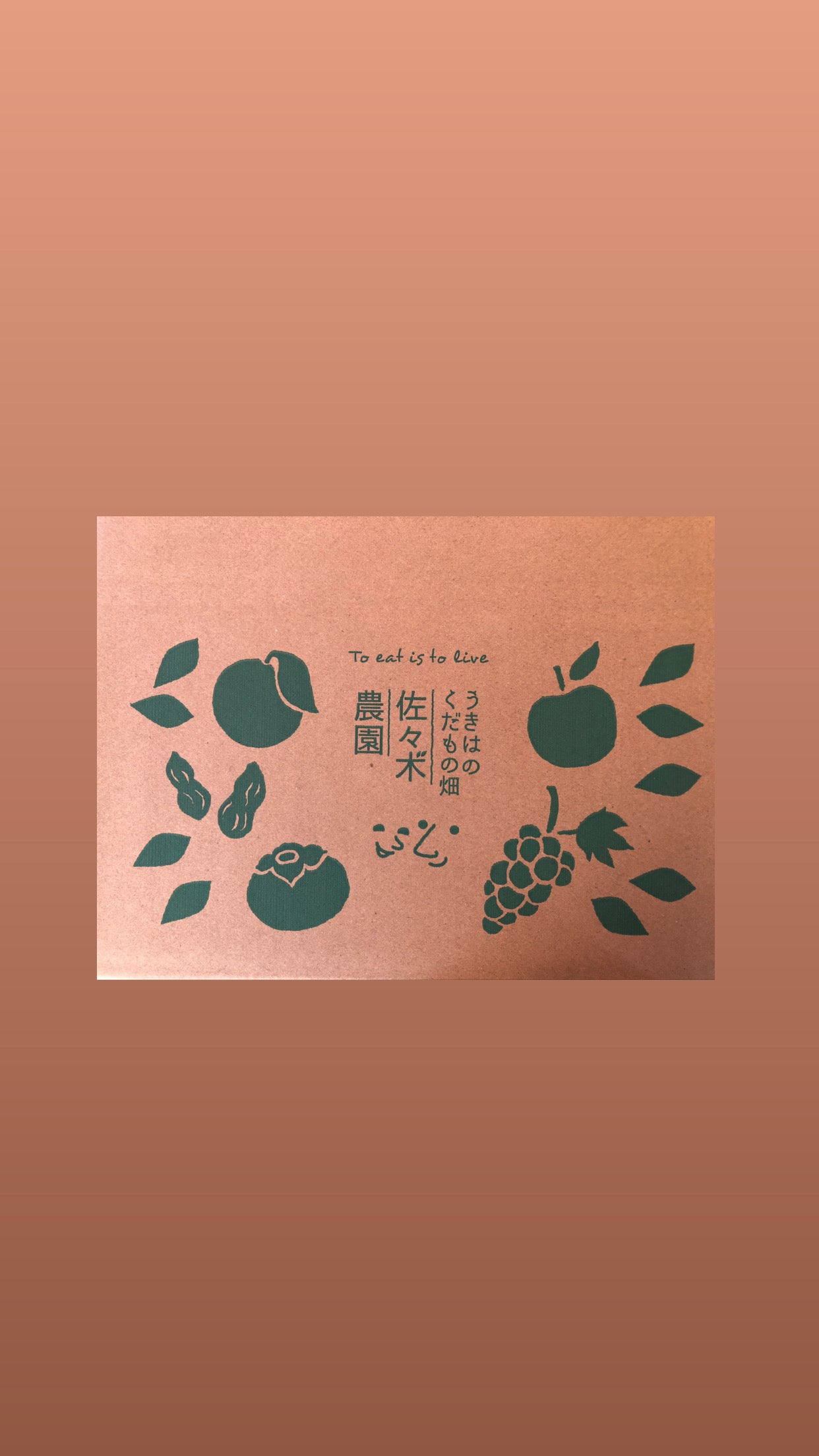 7月　あかつき【秀品】オリジナルミニBOX（約1kg）（4玉前後）