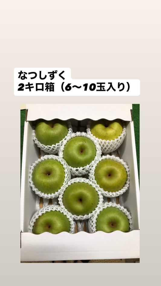なつしずく　2ｋｇ箱（6〜10玉入り）