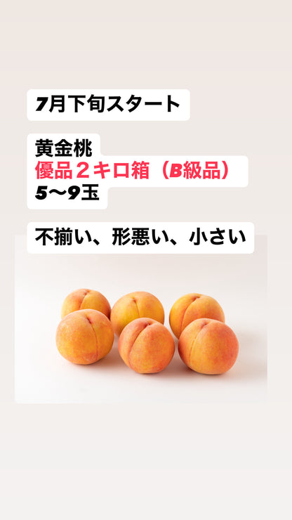 7月下旬から　黄金桃【優品】B級品　2ｋｇ箱（5～9玉入り）