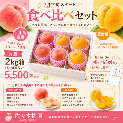 7月下旬から　数量限定　食べ比べセット！川中島白桃＆黄金桃【秀品】2ｋｇ箱（5～8玉入り）