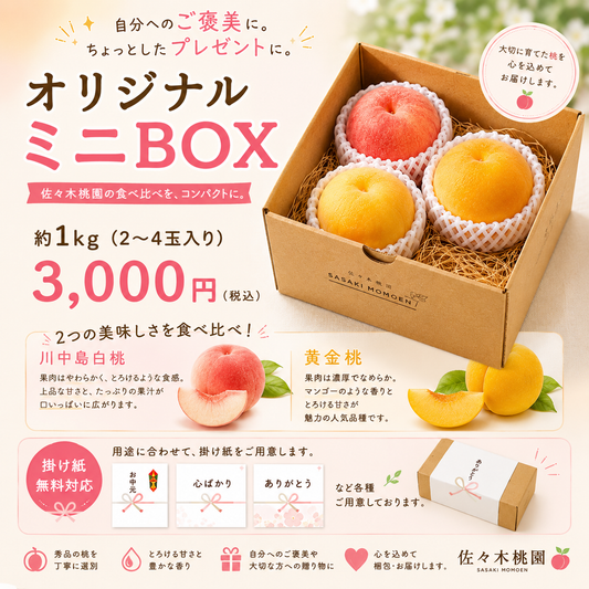 7月下旬から　数量限定　食べ比べセット！川中島白桃＆黄金桃【秀品】オリジナルミニBOX（2～4玉入り）約1ｋｇ
