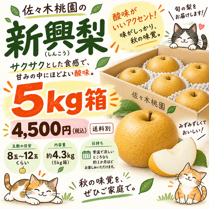 新興しんこう　秀品5ｋｇ箱（8～13玉入り）(約4.3キロ）