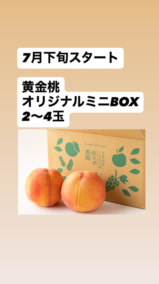 7月下旬から　黄金桃【秀品】オリジナルミニBOX（約1kg）（3玉前後）