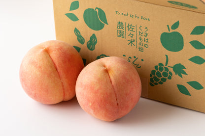 7月下旬から　川中島白桃　【秀品】オリジナルミニBOX（約1kg）（3玉前後）
