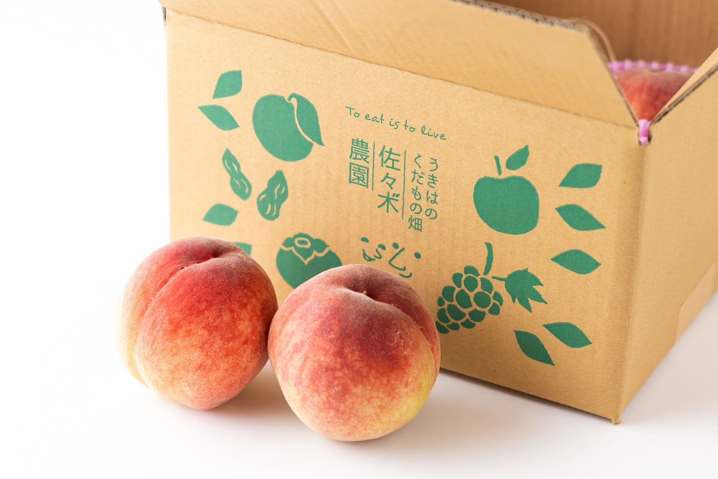 6月　日川白鳳【秀品】オリジナルミニBOX（約1kg）（5玉前後）