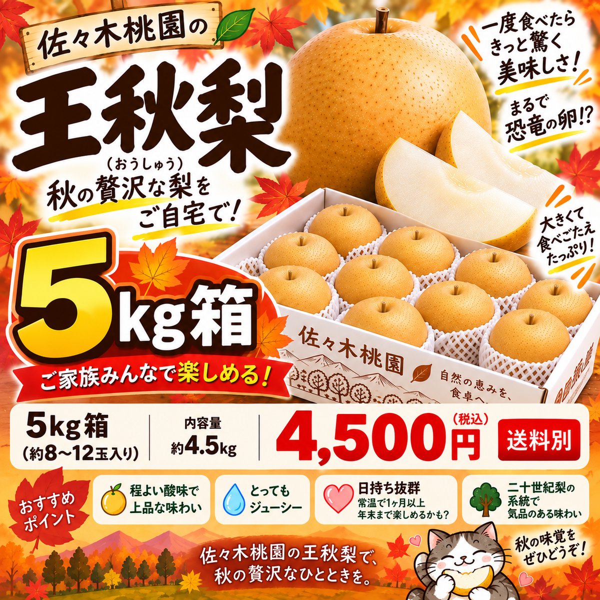 10月5日スタート　王秋おうしゅう　秀品5ｋｇ箱（8～12玉入り）(約4.3キロ）