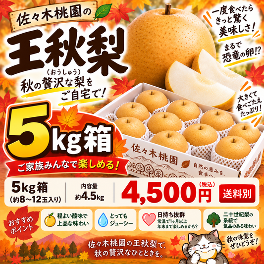 10月5日スタート　王秋おうしゅう　秀品5ｋｇ箱（8～12玉入り）(約4.3キロ）